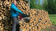 Заготовка дров в Истре